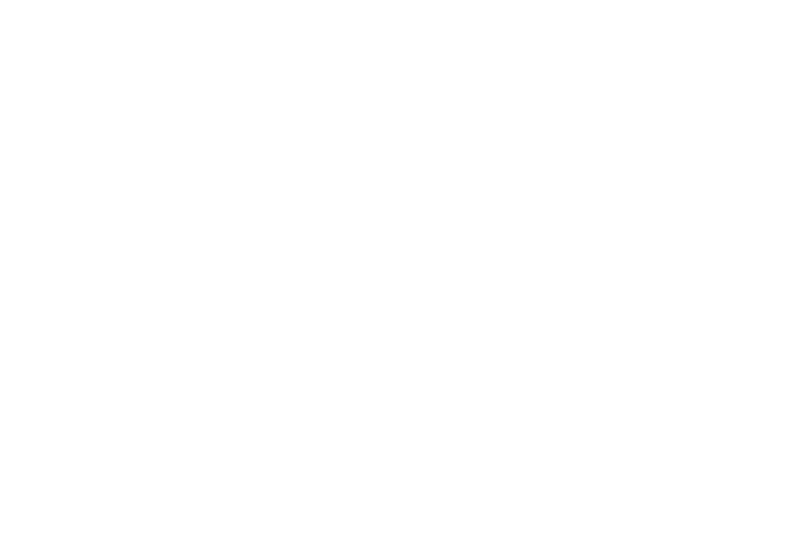 Capital City Cop